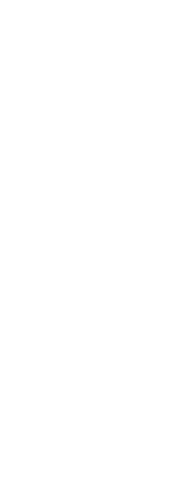 花々が語り合う庭。